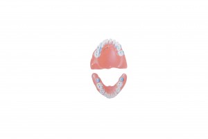 teeth illustration